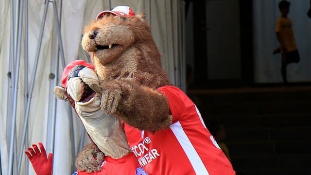 Silkeborg IF artwork 8