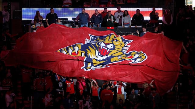 Florida Panthers artwork 8