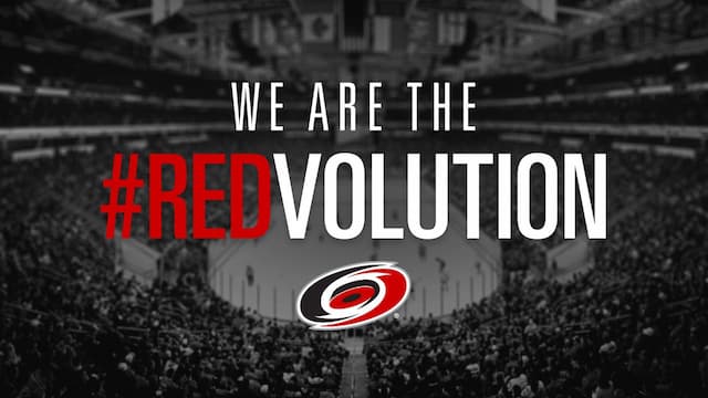 Carolina Hurricanes artwork 8