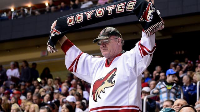 Arizona Coyotes artwork 8
