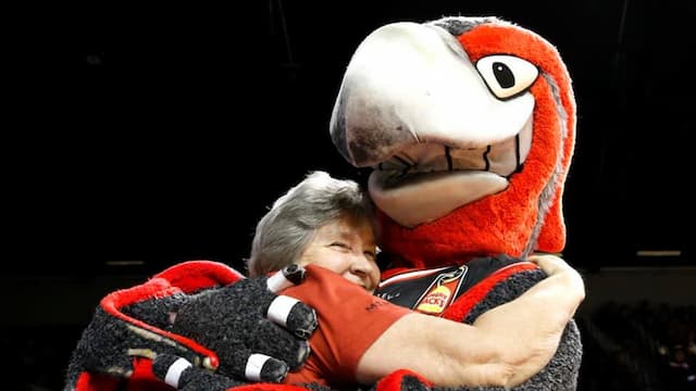 Illawarra Hawks artwork 8