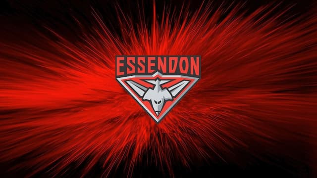 Essendon Football Club artwork 8