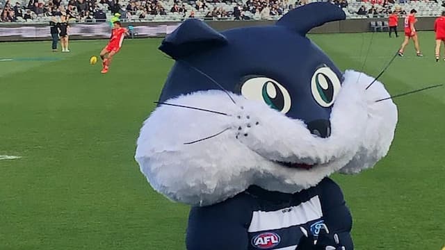 Geelong Football Club artwork 8