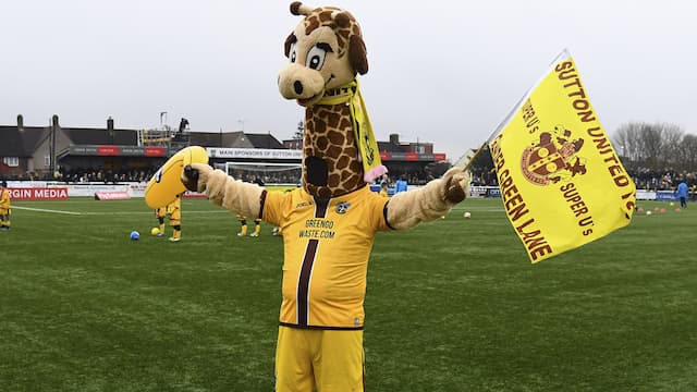 Sutton United artwork 8