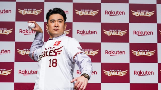 Tohoku Rakuten Golden Eagles artwork 8