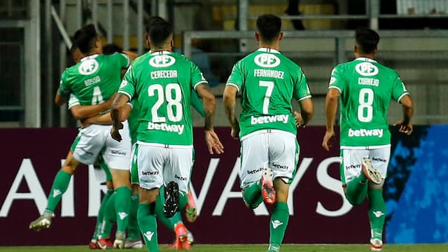 Audax Italiano artwork 6