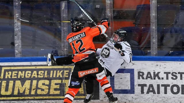 Hämeenlinnan artwork 8