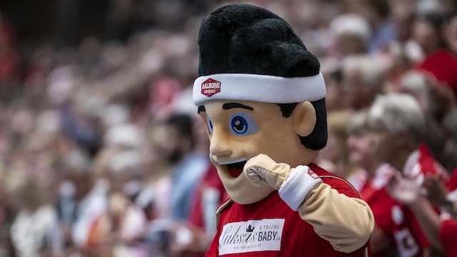 Aalborg Håndbold artwork 8