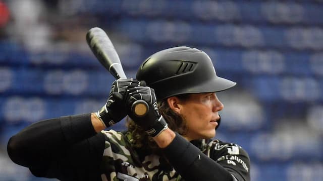 Toros de Tijuana artwork 8