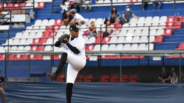 Guerreros de Oaxaca artwork 8