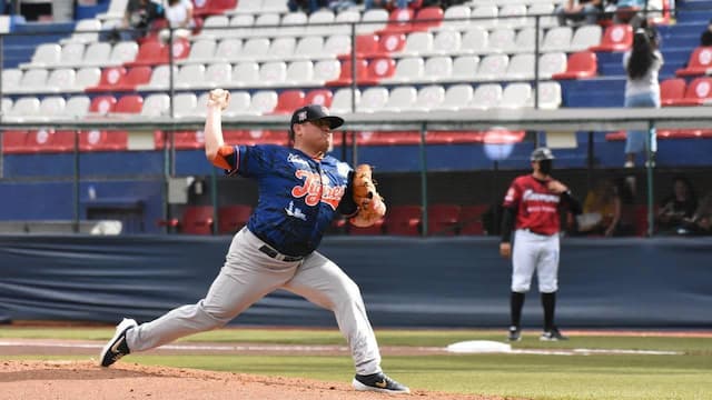 Tigres de Quintana Roo artwork 8