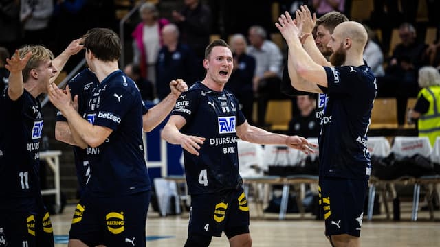 Skanderborg Aarhus Håndbold artwork 8