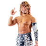 Hiroshi Tanahashi