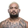 Mark Hunt