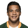 Cheslin Kolbe