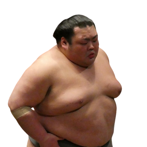 Bushozan Kotaro