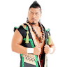 Shingo Takagi