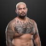 Mark Hunt