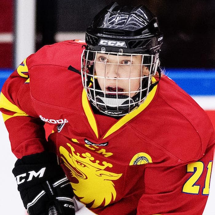 William von Barnekow