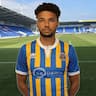 Lee Angol