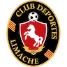 Deportes Limache