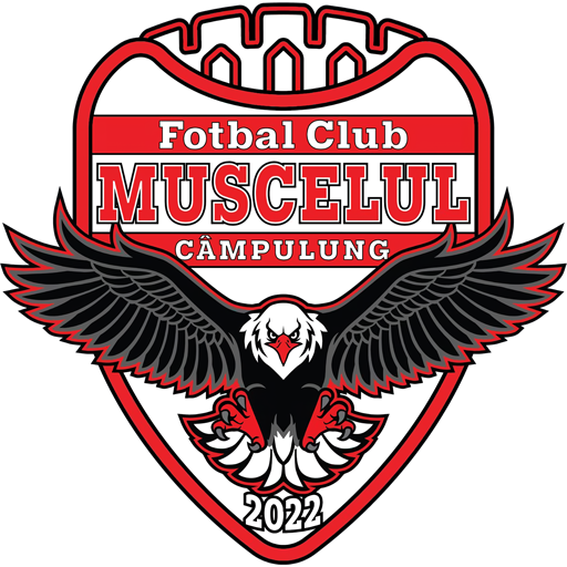 Câmpulung Muscel artwork 1