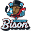 Bloomington Bison