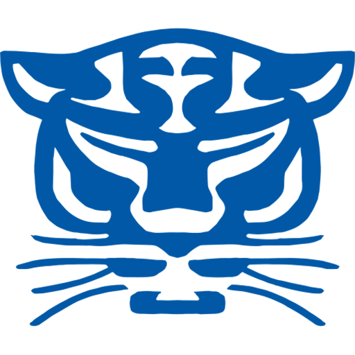 Birmingham Panthers artwork 1