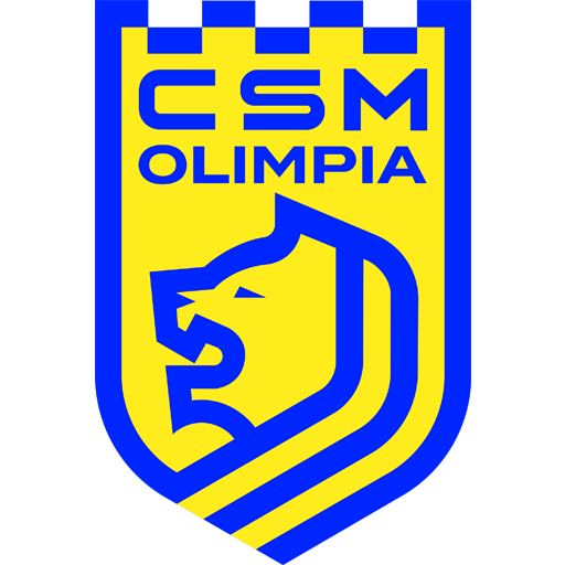 Olimpia Satu Mare artwork 1