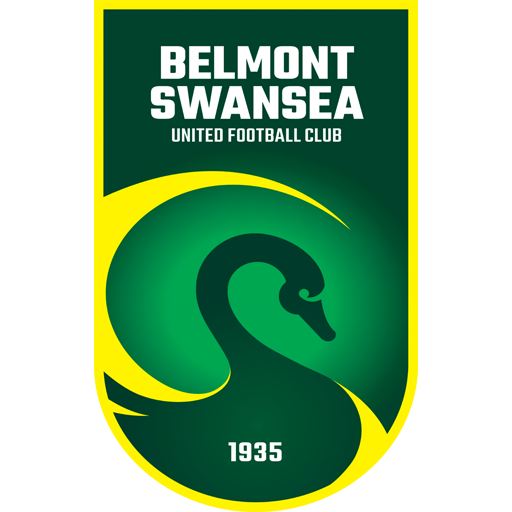 Belmont Swansea United artwork 1