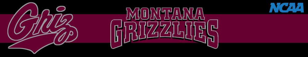 Montana banner
