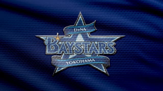 Yokohama DeNA BayStars artwork 5
