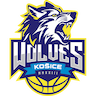 Košice Wolves