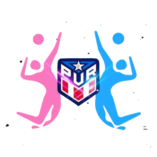 Puerto Rico Volleyball Women artwork 1