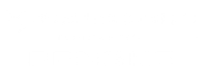 DS Penske artwork 2