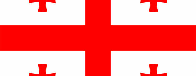 Georgia Women artwork 2