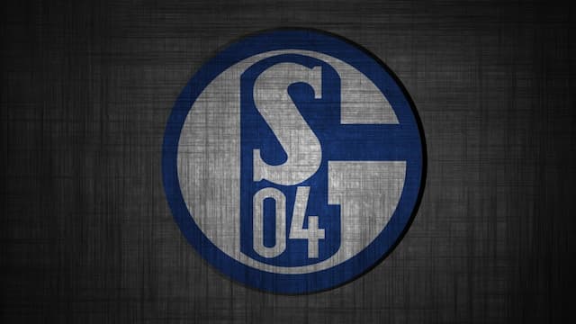 Schalke 04 artwork 5